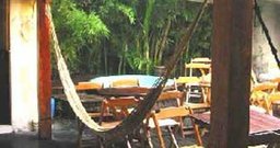 Bambu Brasil - Foto 4
