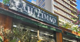 Caju Limão - Foto 2