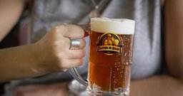 Cervejaria do Gordo SP - Foto 4