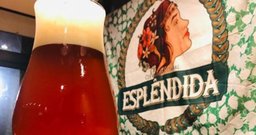 Cervejaria Esplêndida - Foto 2