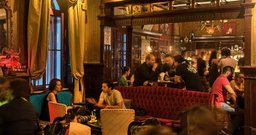Drosophyla Bar - Foto 2