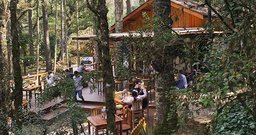 Gard Cervejaria - Foto 5