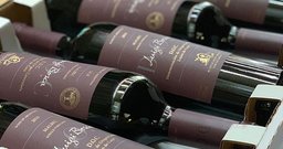 La Caballeriza - Foto 1