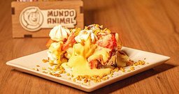 Mundo Animal Lanchonete - Piracicaba - Foto 1