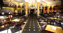 Pinguim - Centro - Foto 3