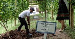Quinta do Olivardo - São Roque - Foto 1