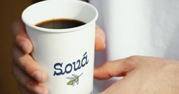 Sová - Foto 3