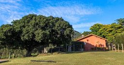 Stefano's Fazenda - Foto 3