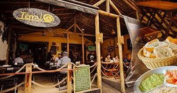 Terral Bar - Foto 2