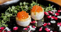 Toy Sushi - Foto 1